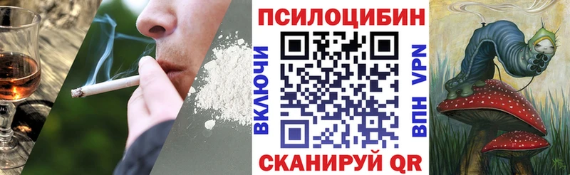 Купить  Малая Вишера  Галлюциногенные грибы Magic Shrooms 