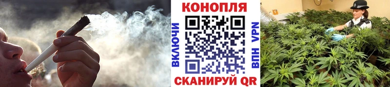 Купить где  Малая Вишера  Марихуана White Widow 